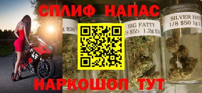 СК Канаш