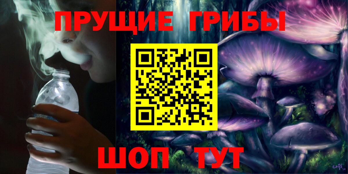 Псилоцибиновые грибы Psilocybe Глазов