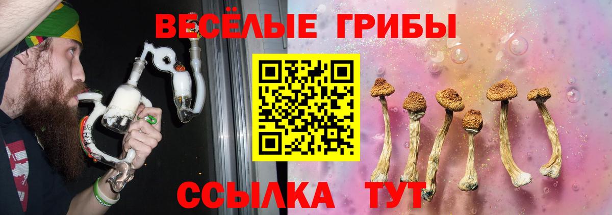 Галлюциногенные грибы GOLDEN TEACHER  Вход с VPN  Глазов 